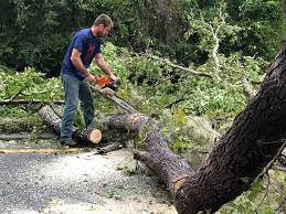 Best Storm Damage Tree Cleanup  in Katonah, NY